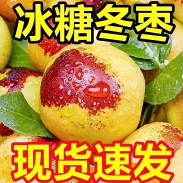 现货山东沾化冬枣脆甜新鲜水果陕西大荔红青应季整箱5斤包邮