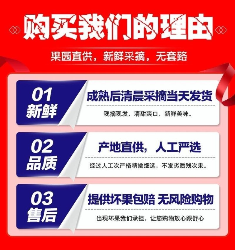 现货山东沾化冬枣脆甜新鲜水果陕西大荔红青应季整箱5斤包邮