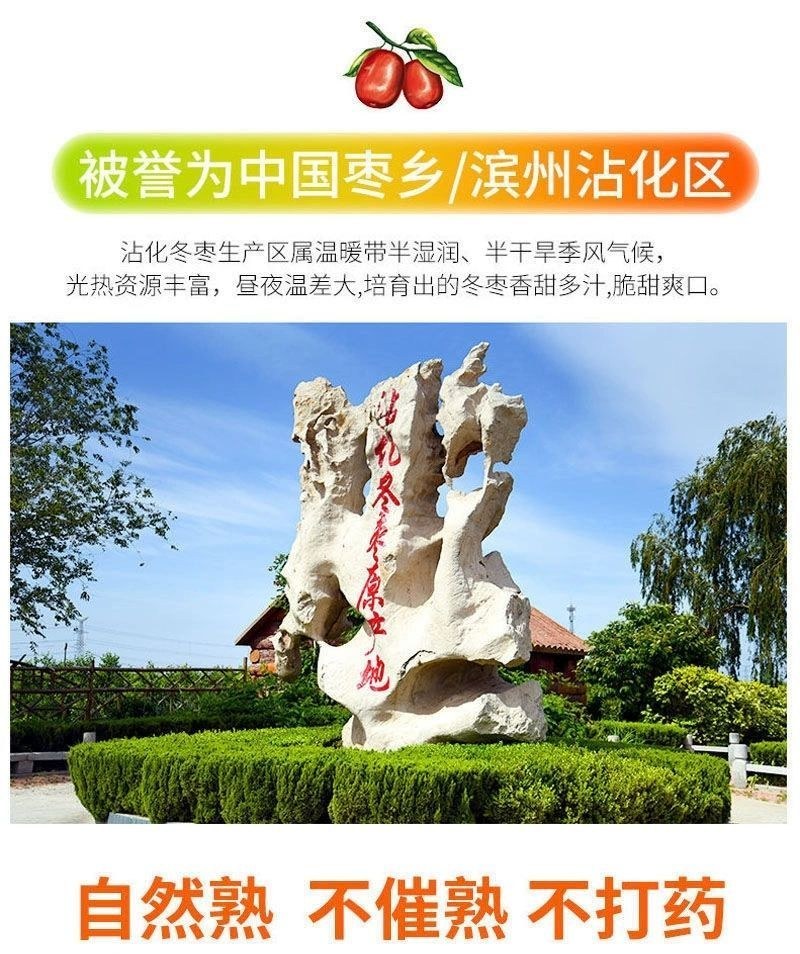 现货山东沾化冬枣脆甜新鲜水果陕西大荔红青应季整箱5斤包邮