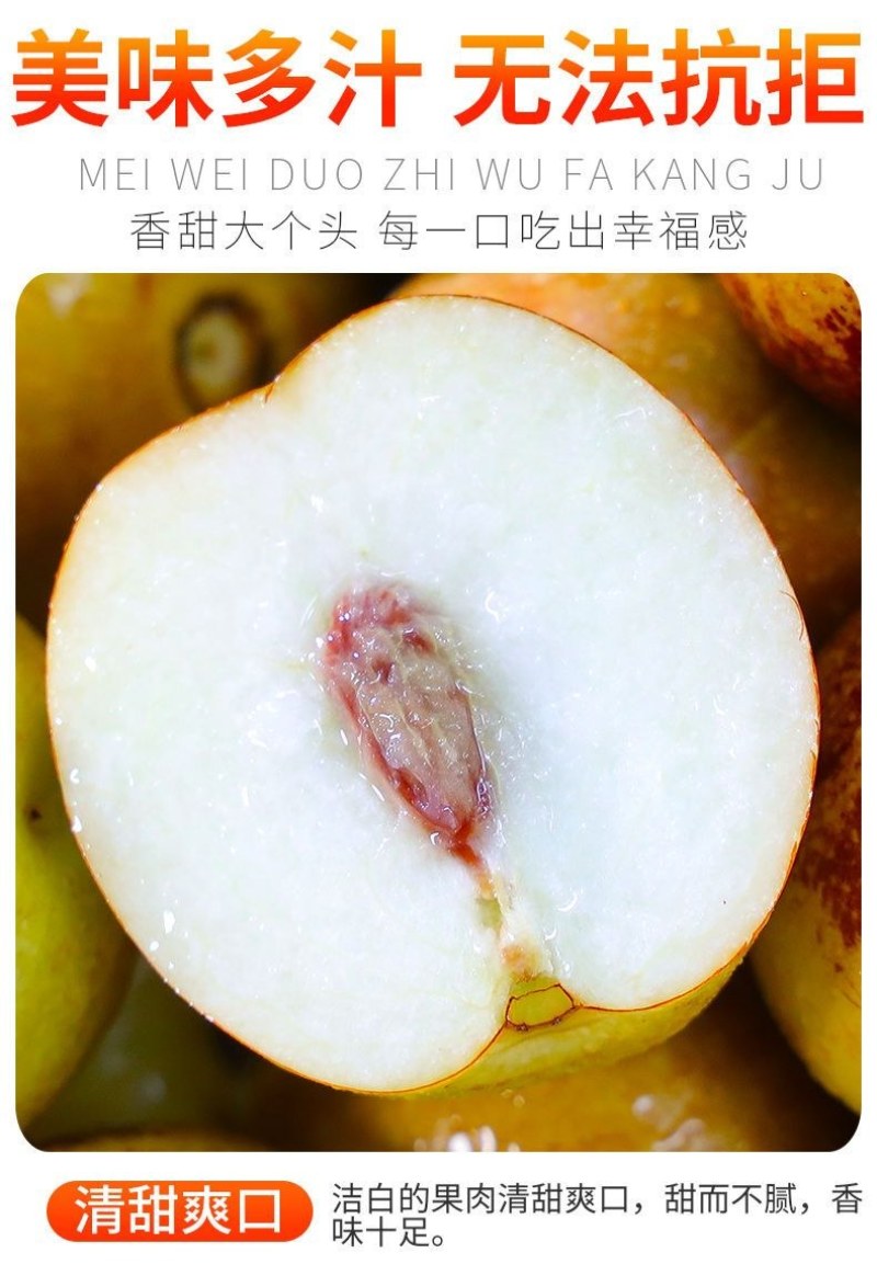 现货山东沾化冬枣脆甜新鲜水果陕西大荔红青应季整箱5斤包邮