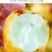 现货山东沾化冬枣脆甜新鲜水果陕西大荔红青应季整箱5斤包邮