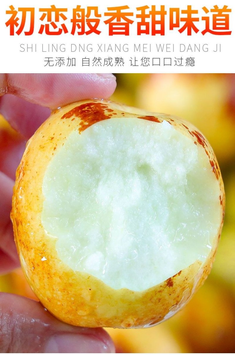 现货山东沾化冬枣脆甜新鲜水果陕西大荔红青应季整箱5斤包邮