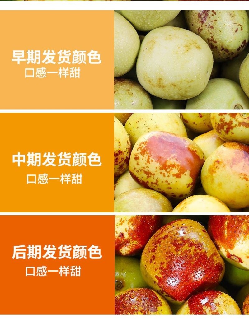 现货山东沾化冬枣脆甜新鲜水果陕西大荔红青应季整箱5斤包邮