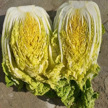 包心白菜，黄秧白