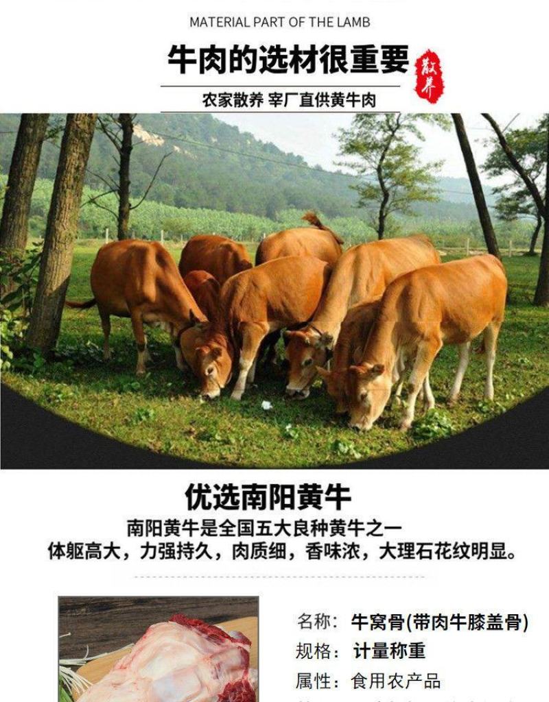 清真牛窝骨4斤黄牛膝盖骨多肉筋多个大原切新鲜速冻包邮