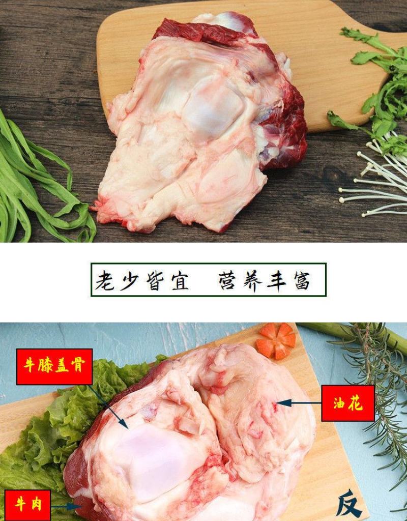 清真牛窝骨4斤黄牛膝盖骨多肉筋多个大原切新鲜速冻包邮