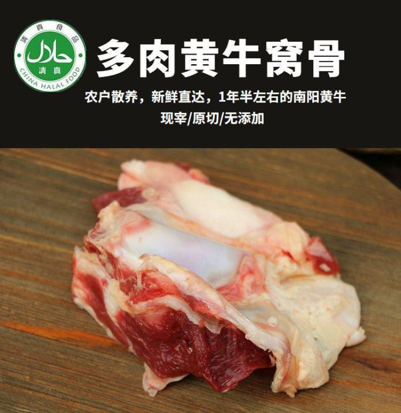 清真牛窝骨4斤黄牛膝盖骨多肉筋多个大原切新鲜速冻包邮