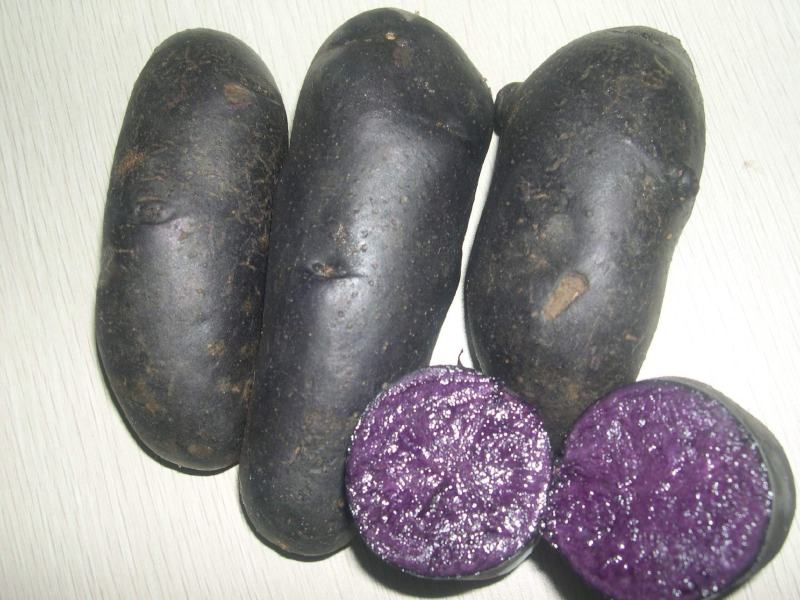 云南特色黑洋芋，黑金刚土豆量大从优，欢迎选购