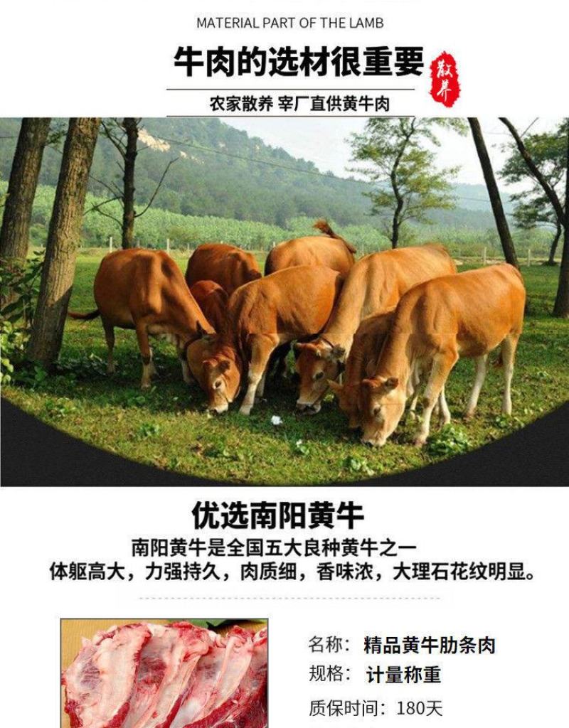 新鲜牛肋条肉4斤黄牛肋排肉剔骨牛排肉农家散养原切速冻包邮