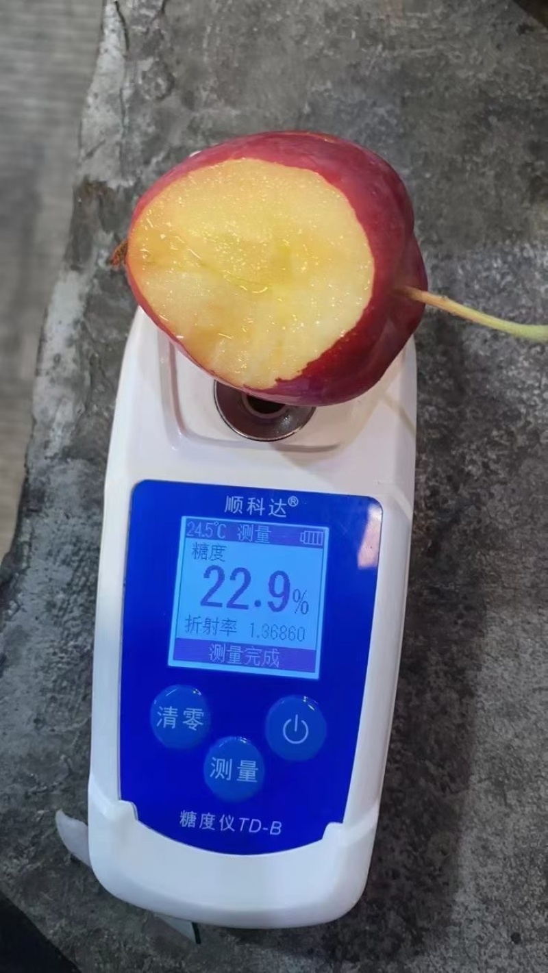 鸡心果，品质好，销量高，精品果类，产地大量有货，期待合作