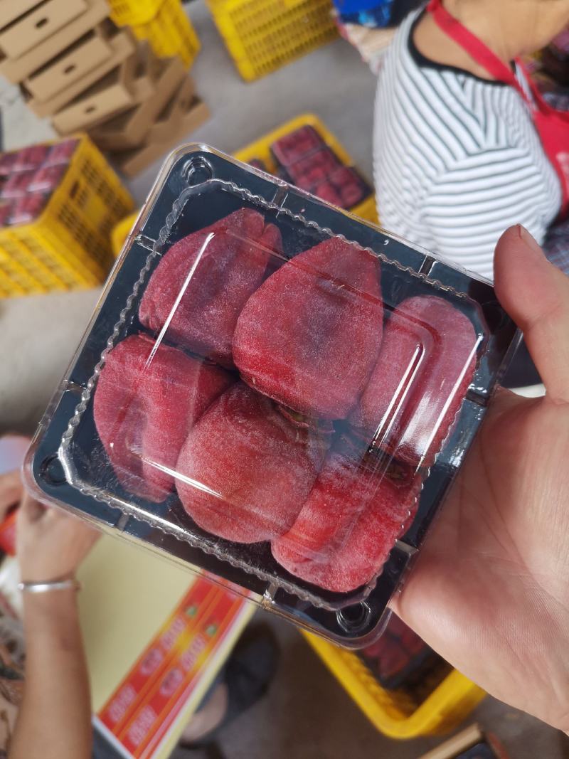 超商超优质柿饼，圆饼吊饼精品包装礼盒装柿饼源头工厂，桂林