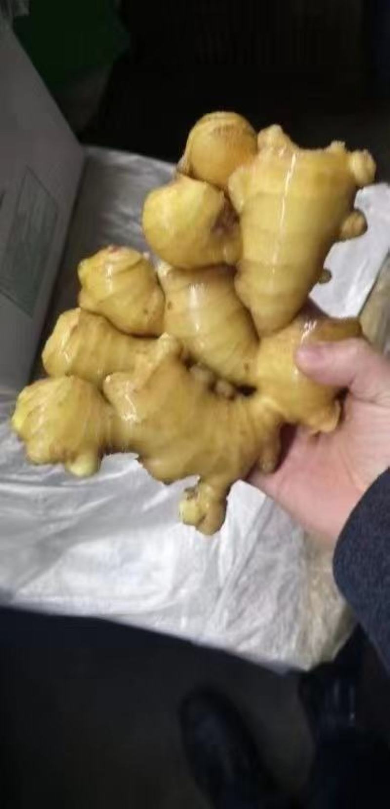 山东大黄姜产地批发一手货源，诚信经营。（全国发货)