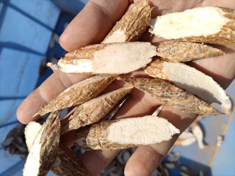 全粉野生黑牛大力干片、干货、瓜子片，加工厂一手货源