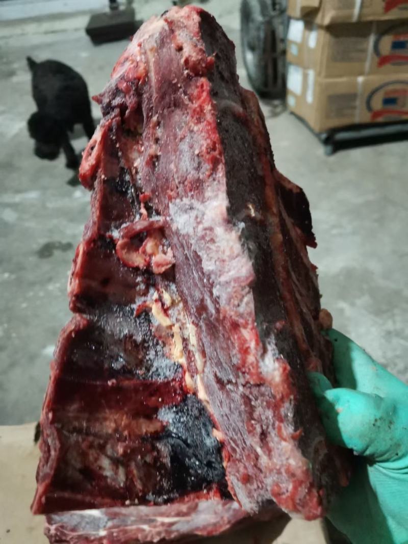 河北河间市牛脖骨厂家一手货源质量保证价格美丽