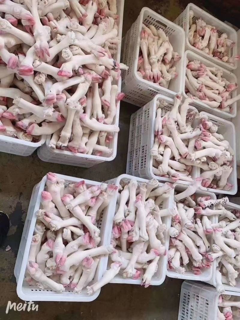 精品羊蹄，干净无杂质厂家一手货源质量保证价格美丽