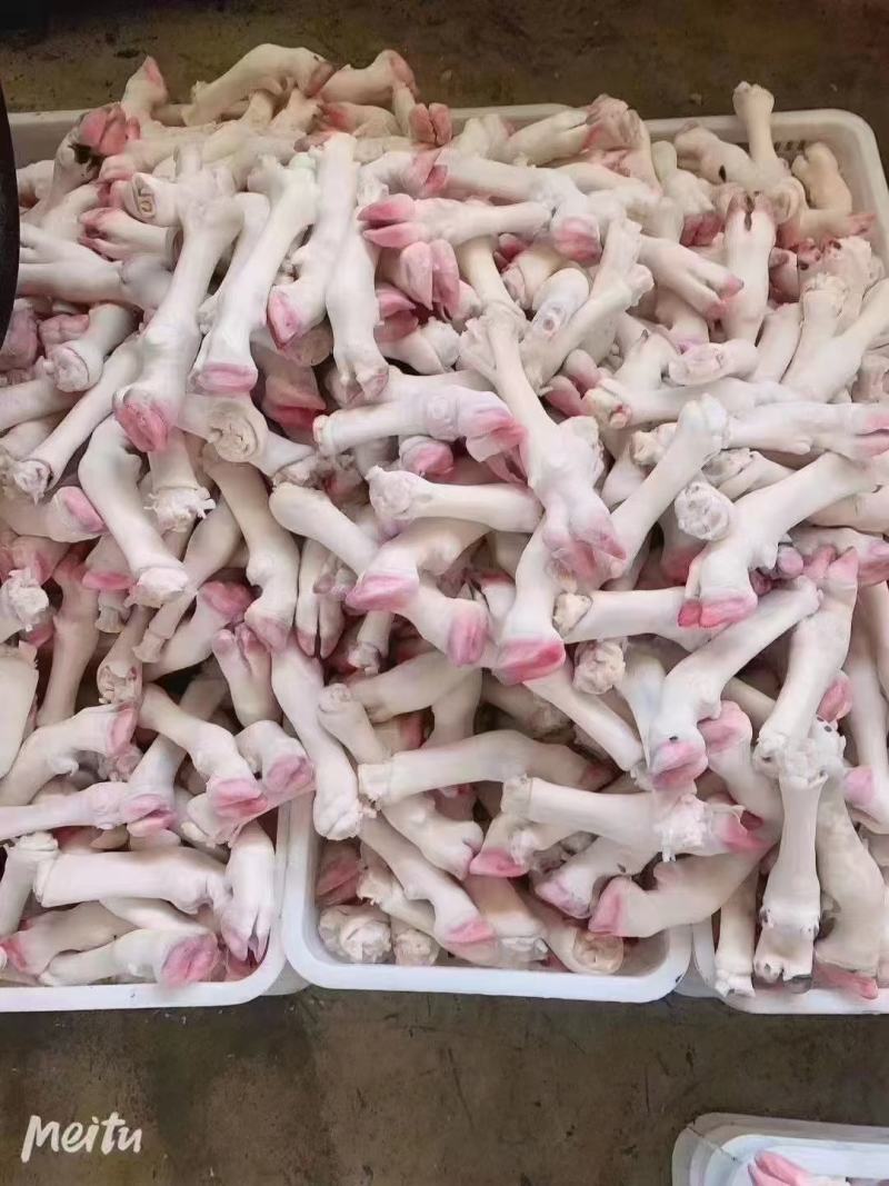 精品羊蹄，干净无杂质厂家一手货源质量保证价格美丽