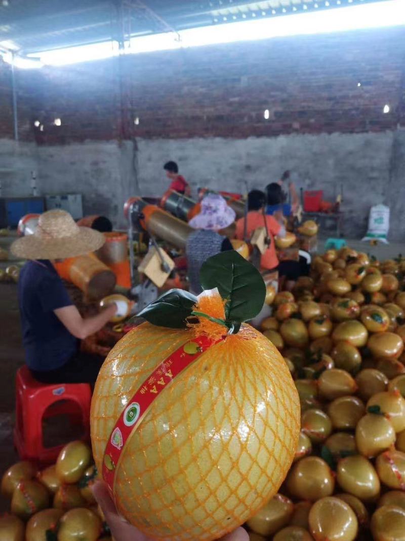 红心柚质量好，物超所值，真的是物有所值，价格实惠，