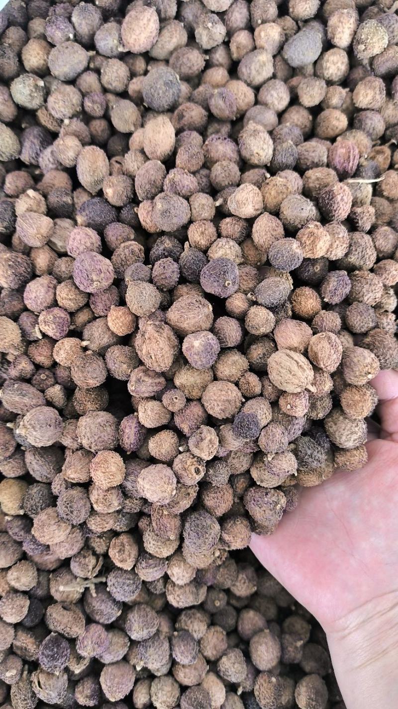 砂仁中药材沙仁香砂仁阳春砂仁规格齐全货源充足