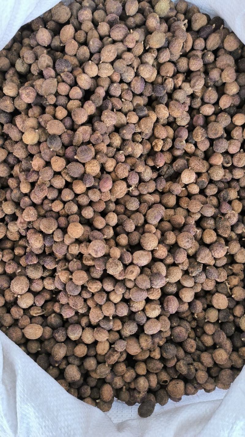 砂仁中药材沙仁香砂仁阳春砂仁规格齐全货源充足