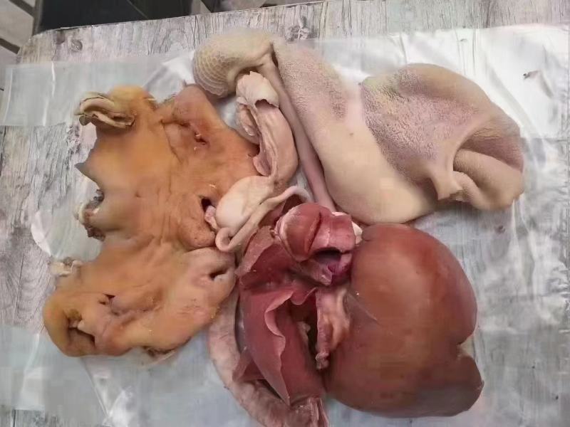 高品质羊杂，可加工各种真空小包装，每包都带羊头羊肚羊肠，