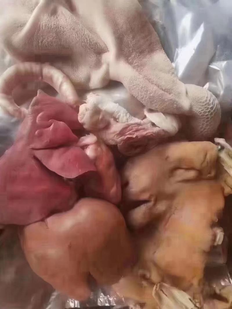 高品质羊杂，可加工各种真空小包装，每包都带羊头羊肚羊肠，