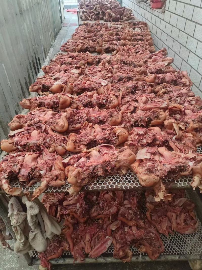 高品质羊杂，可加工各种真空小包装，每包都带羊头羊肚羊肠，