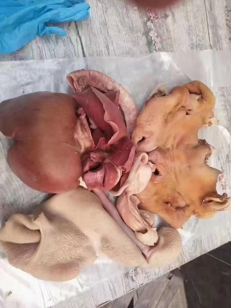 高品质羊杂，可加工各种真空小包装，每包都带羊头羊肚羊肠，