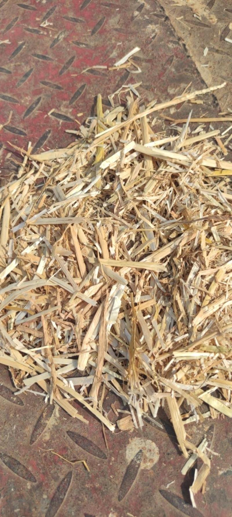 今年优质粉碎柔丝过筛麦草牛草加工中，质量好，发送各大牧场