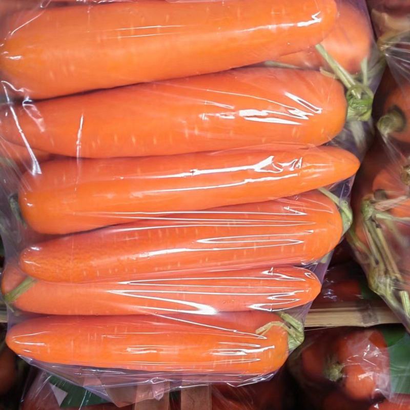 （百信客莱）胡萝卜专营，一手货源，接市场，电商，超市。