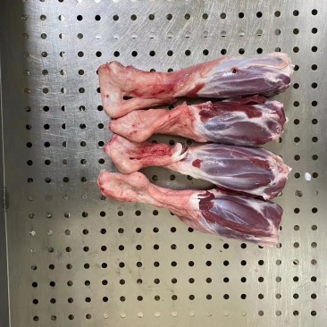高品质羊玉环，可加工锯断，厂家一手货源质量保证价格美