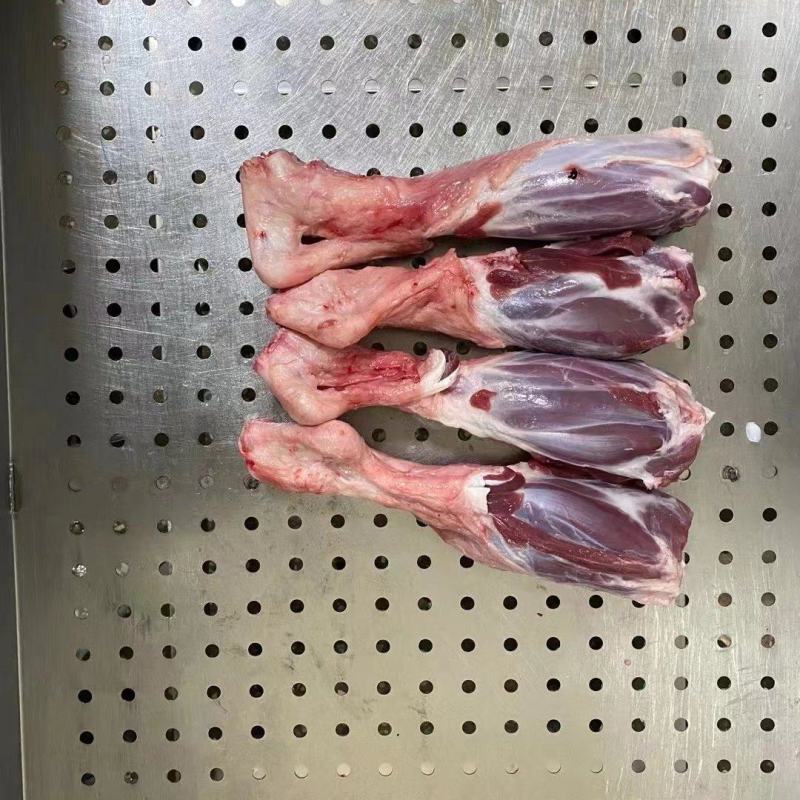 高品质羊玉环，可加工锯断，厂家一手货源质量保证价格美