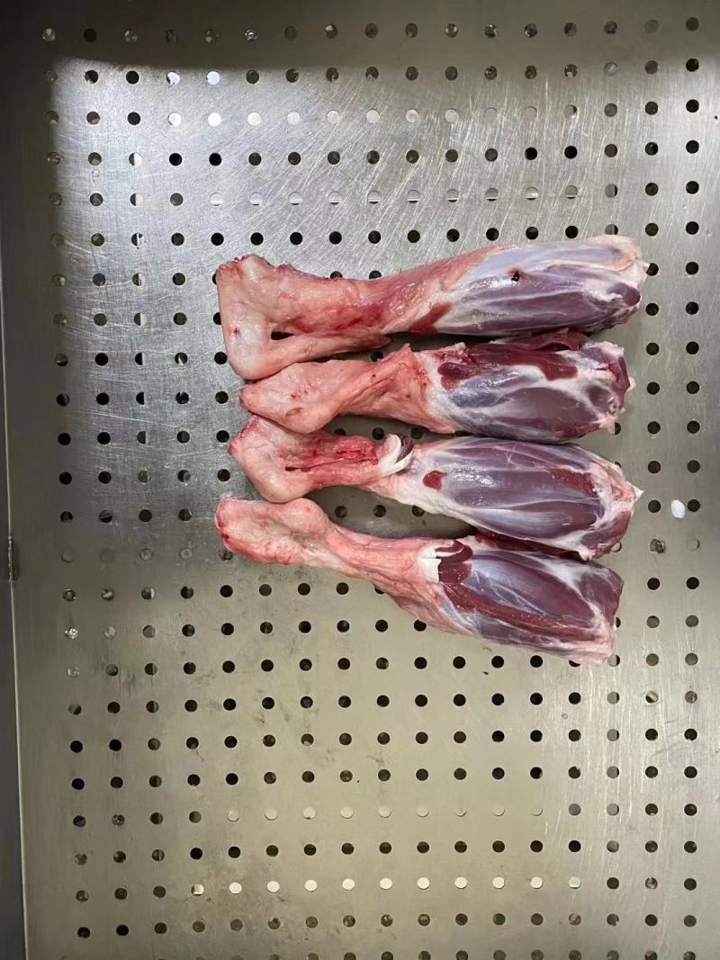 高品质羊玉环，可加工锯断，厂家一手货源质量保证价格美