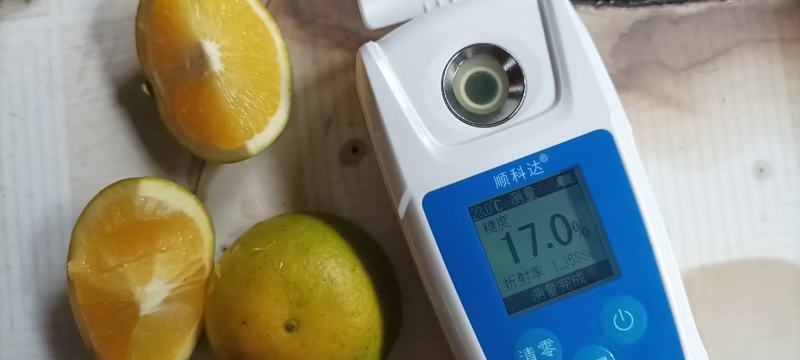 冰糖橙，南风蜜橘，红美人马上，上市，本人专业代办