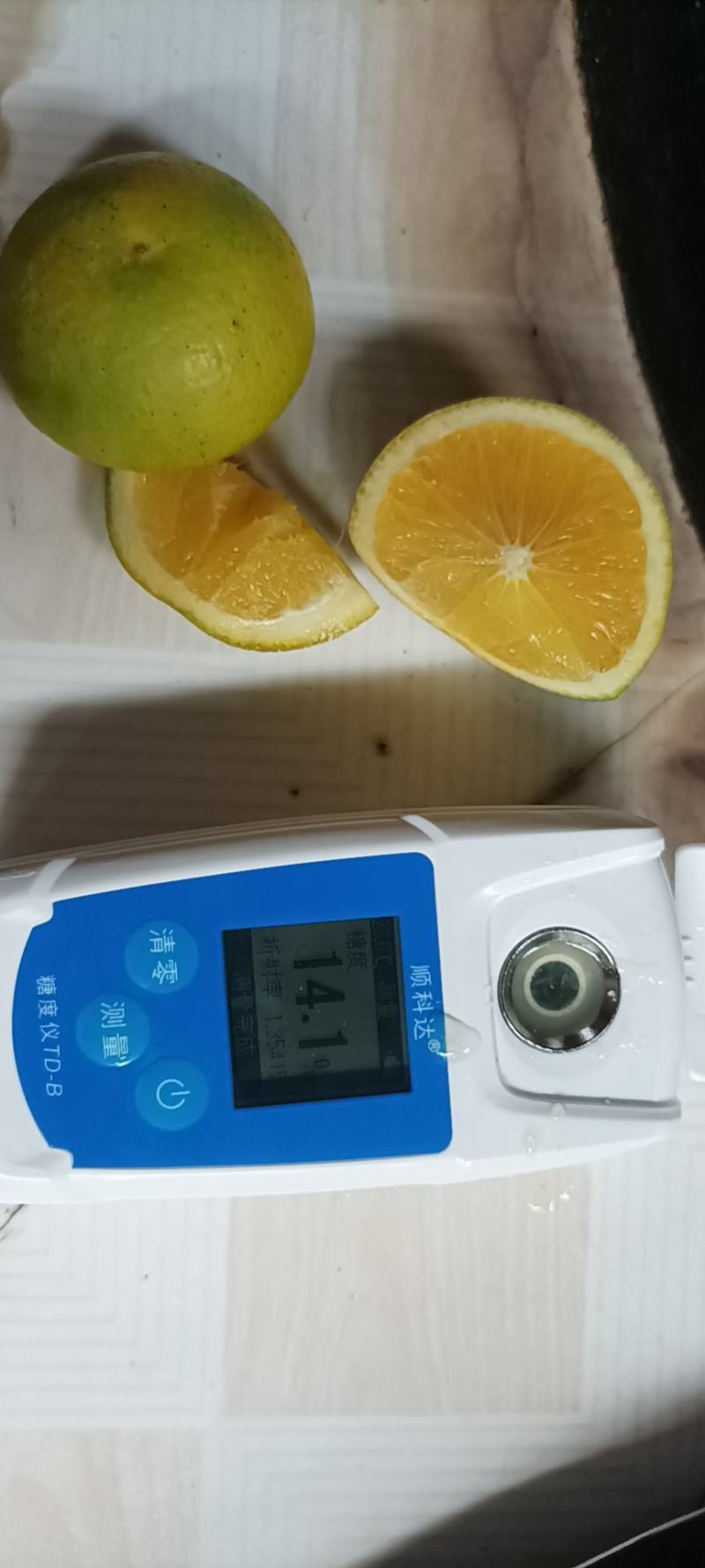 冰糖橙，南风蜜橘，红美人马上，上市，本人专业代办