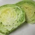 甘蓝圆包菜湖北嘉鱼县圆包菜量大从优基地供应