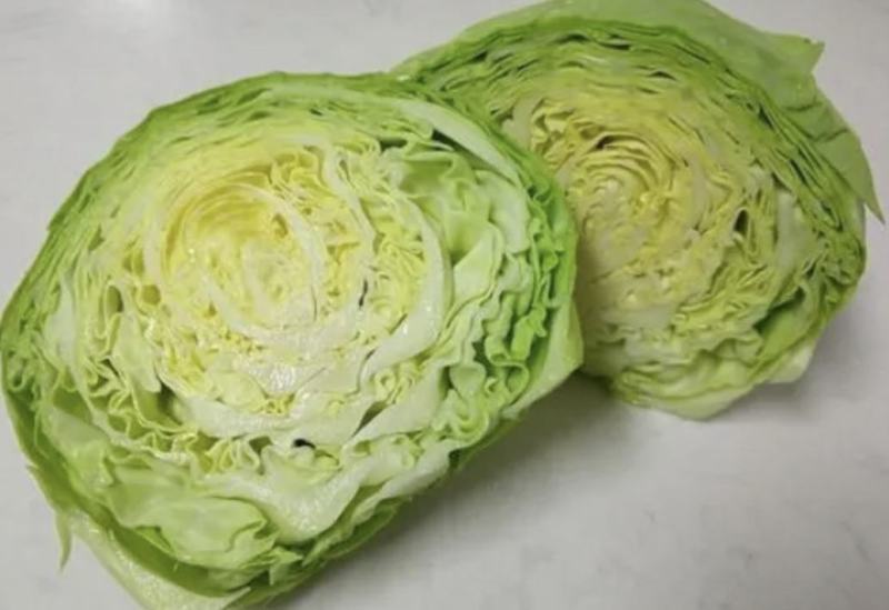 甘蓝圆包菜湖北嘉鱼县圆包菜量大从优基地供应