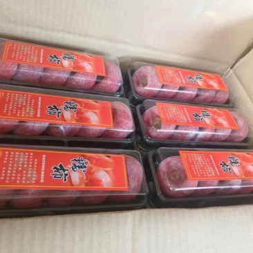 干果坚果礼盒柿饼桂林恭城平乐柿饼礼盒桂林特产礼品装盒装