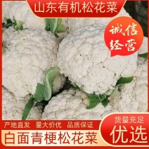 现花菜下市，可以预定需要老板可以联系基地直发，