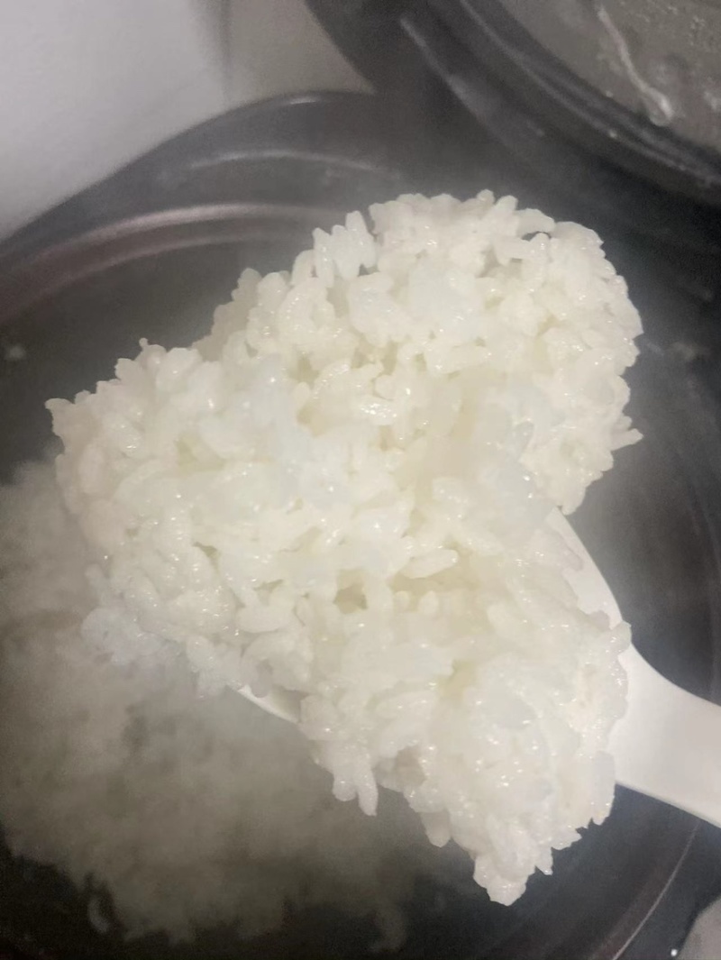 【全国包邮】东北大米正宗盘锦蟹田米可批发零售欢迎选购