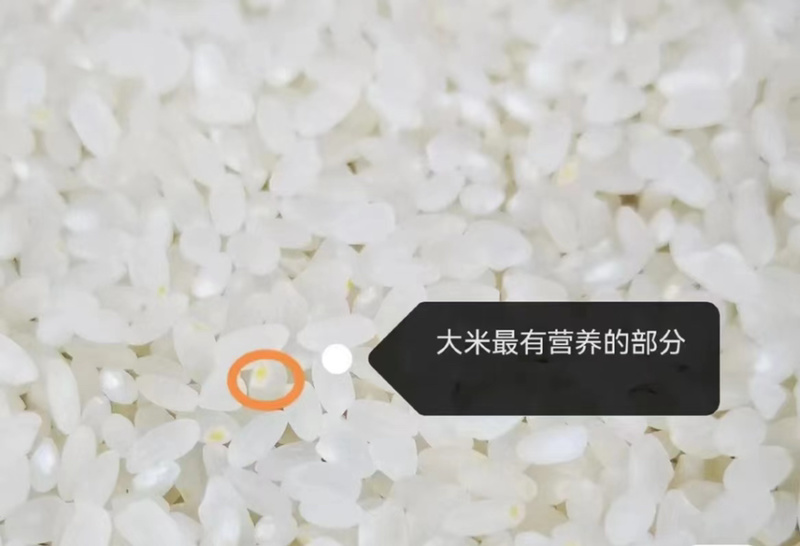 【全国包邮】东北大米正宗盘锦蟹田米可批发零售欢迎选购