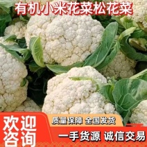 现在花菜花菜可以下市，有需要老板可以提前预定，精品花菜