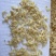 虾皮日照淡虾皮咸虾皮批发烘干食品调味虾皮粉电商一件代发