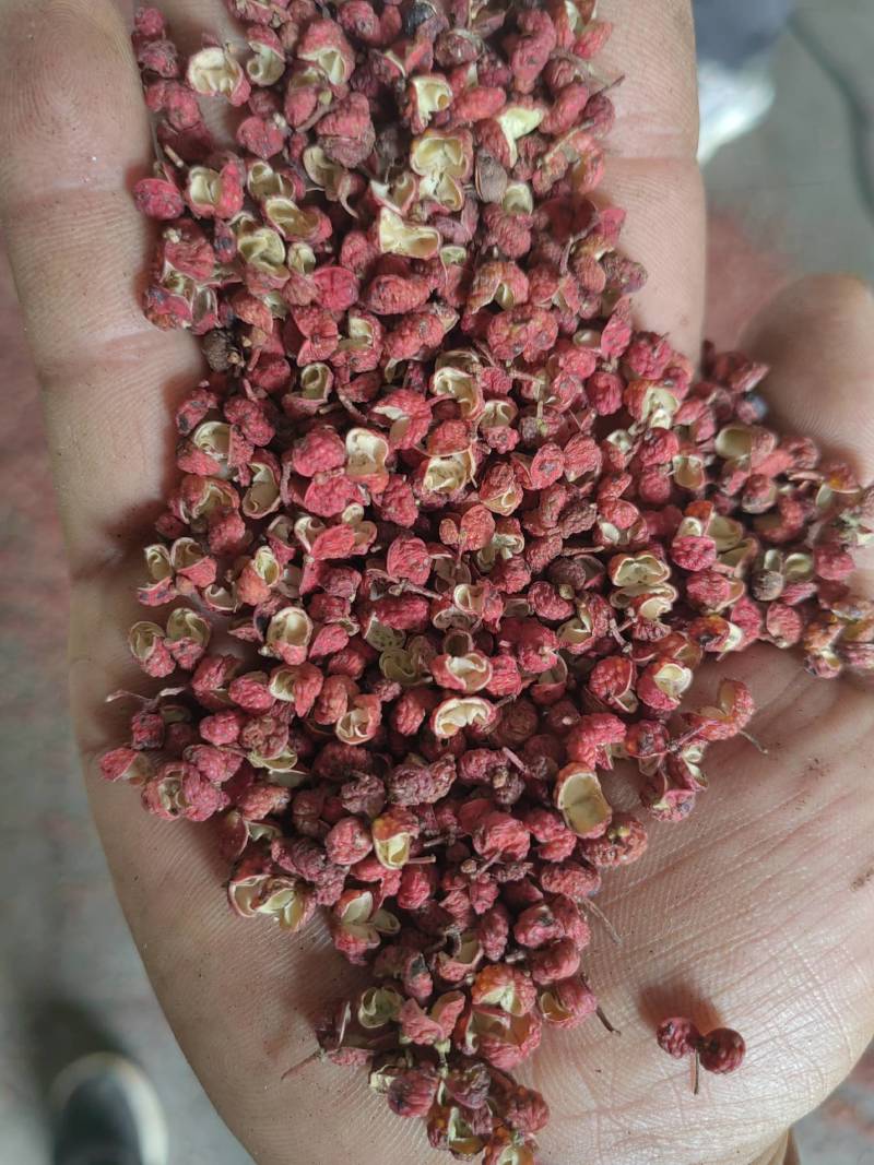 新产大红袍花椒，特级货，质量好，产区货源稳定，常年有货。
