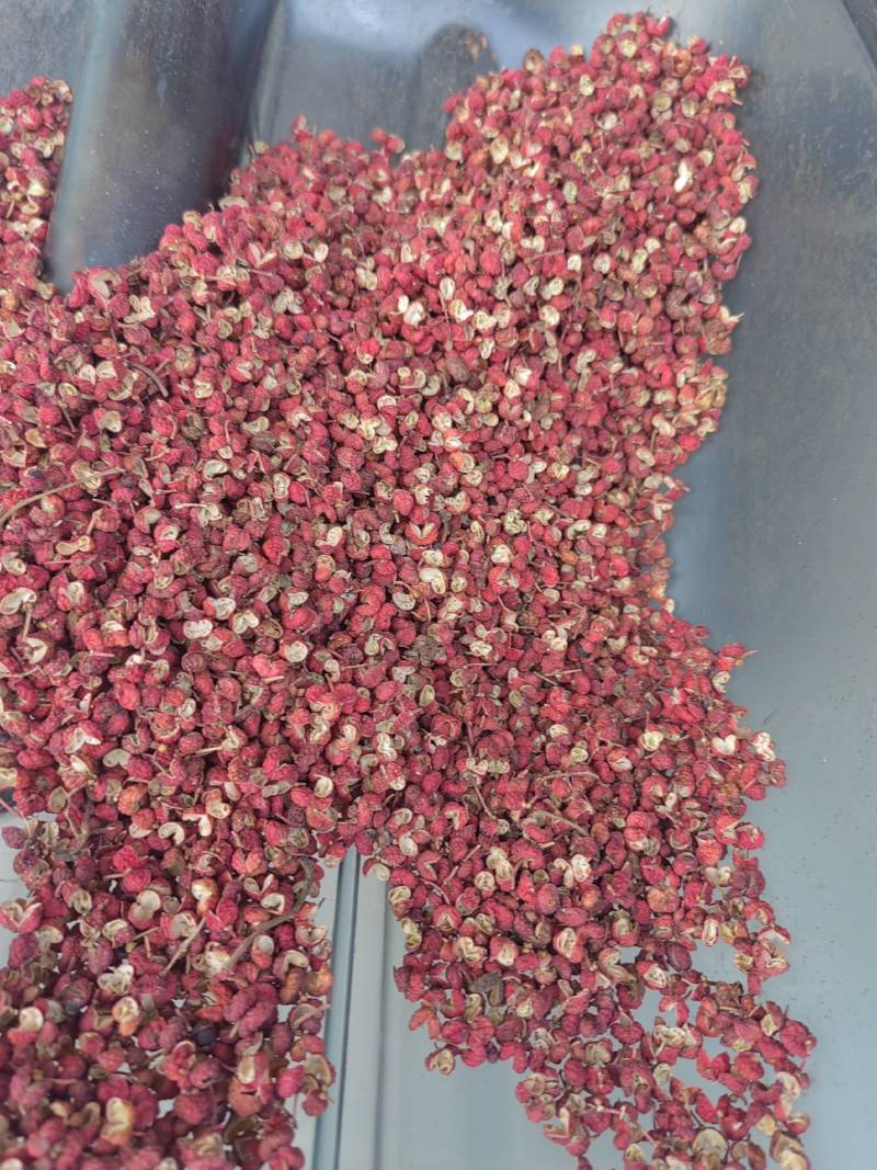 新产大红袍花椒，特级货，质量好，产区货源稳定，常年有货。