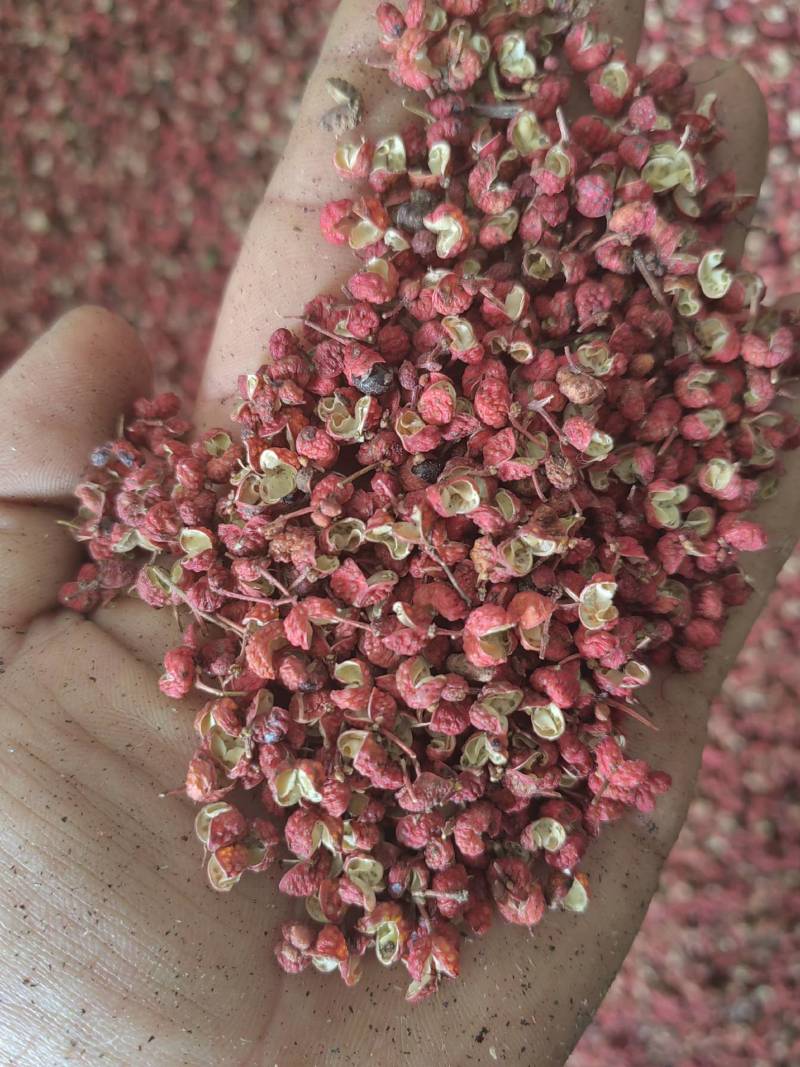 新产大红袍花椒，特级货，质量好，产区货源稳定，常年有货。
