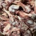 绵羊肉棒骨