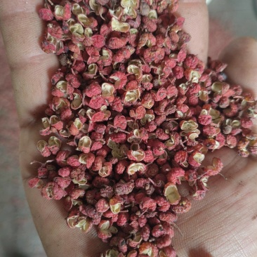 新产大红袍花椒，特级货，质量好，产区货源稳定，常年有货。
