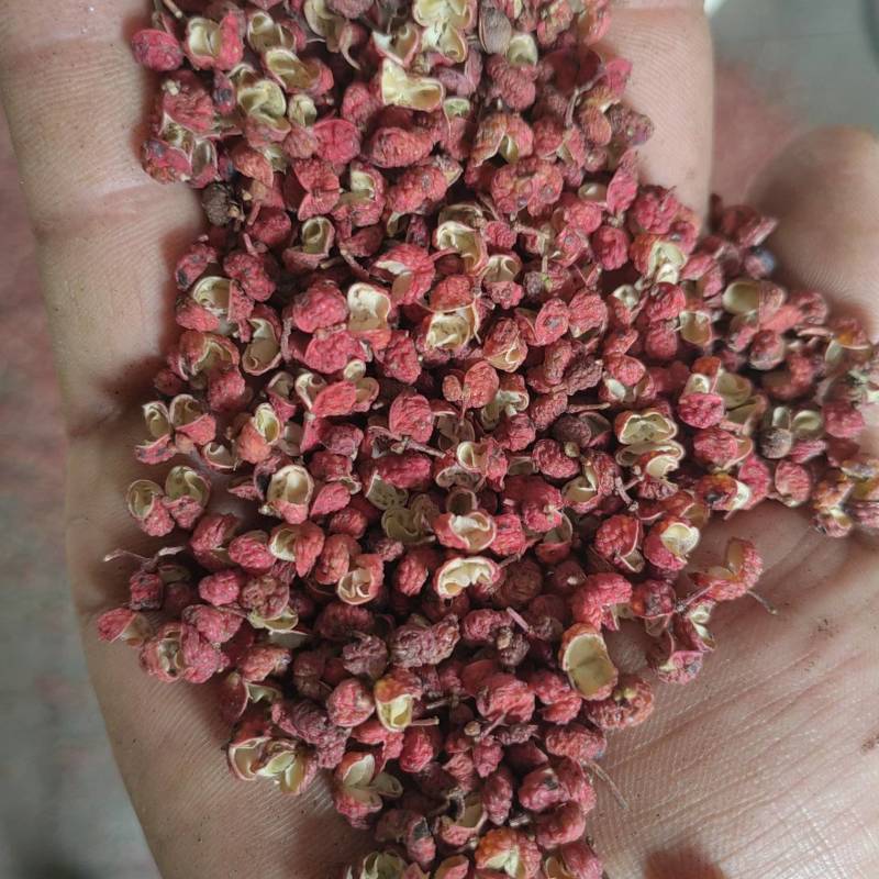 新产大红袍花椒，特级货，质量好，产区货源稳定，常年有货。