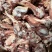 绵羊肉棒骨