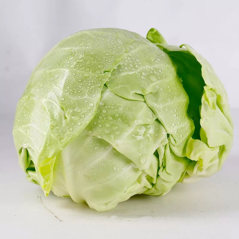 山东临沂莒南县甘蓝质量保证价格包你满意！！圆包菜